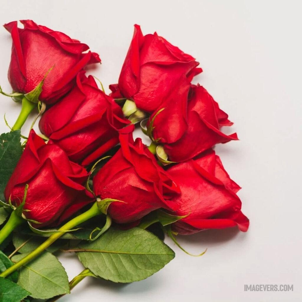 The-withered-roses-against-the-white-backdrop-emphasizes-their-beauty