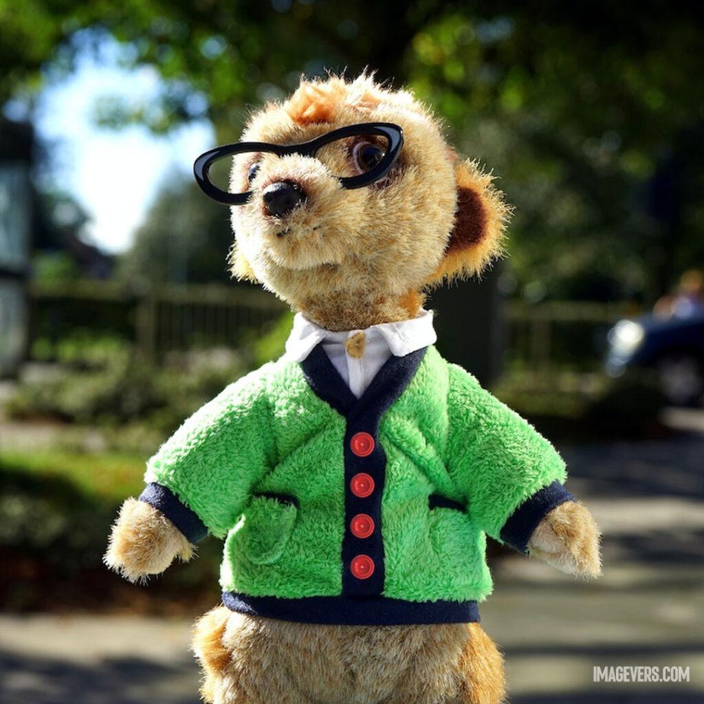 Focus-Photo-of-Brown-Animal-Plush-Toy-in-Green-Jacket-and-Eyeglasses