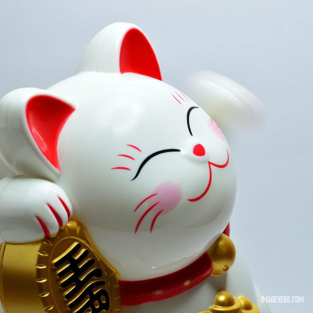 Japanese-Lucky-Coin-Cat